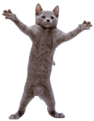 http://catsticker.com/images/dancing-cat.gif